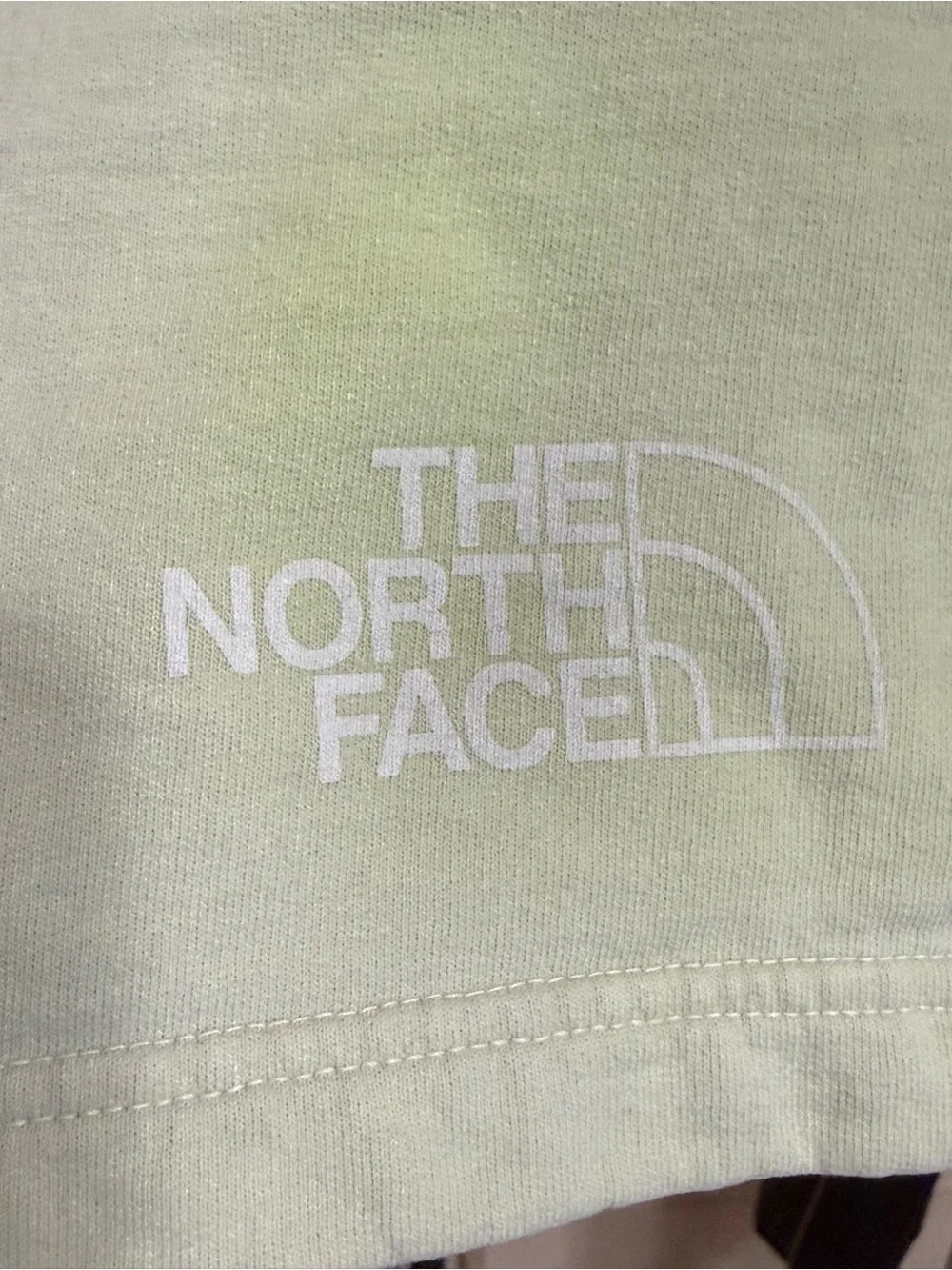 The North Face Men’s Simple Logo Fleece Shorts Lime Cream Green